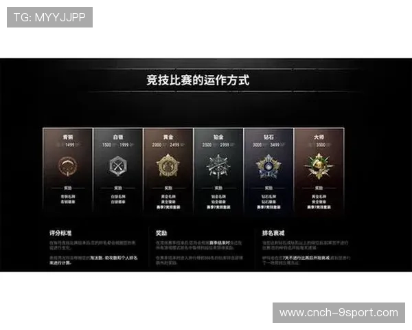 如何通过哪些软件查看自己在游戏中的段位和排名信息